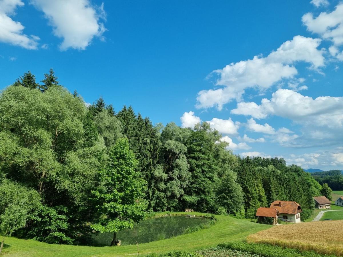 Holiday House Apartment Voukov Mlin Smarje pri Jelsah Экстерьер фото